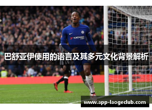 巴舒亚伊使用的语言及其多元文化背景解析